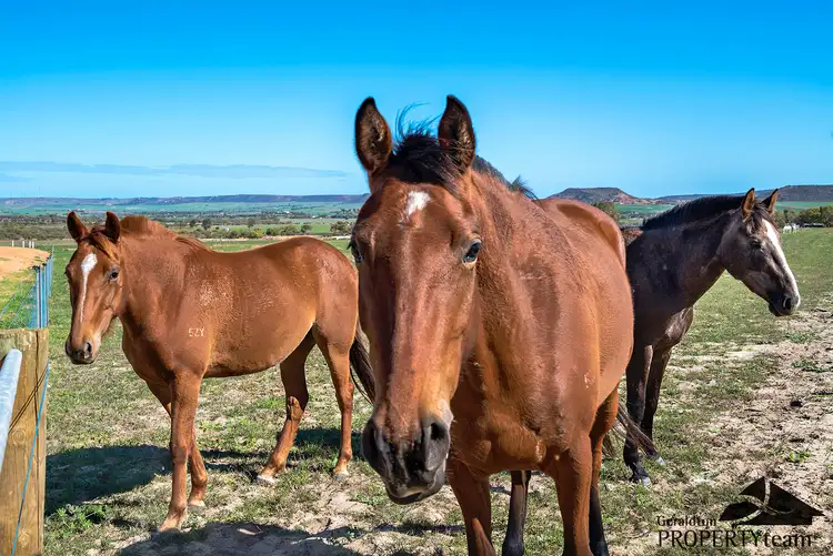 Third view of Homely land listing, Lot 81 Beaufort Close, Narra Tarra WA 6532