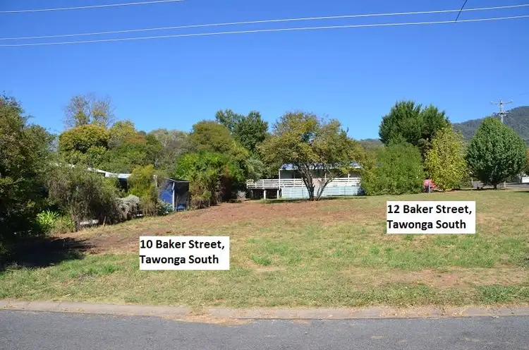 10 Baker Street, Tawonga South VIC 3698