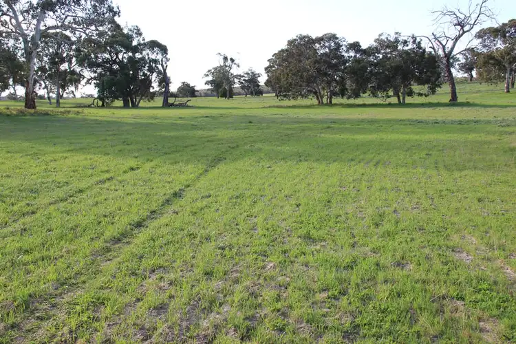 Sixth view of Homely rural property listing, 151 Stotts Lane, Naracoorte SA 5271