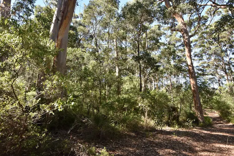 Fourth view of Homely rural property listing, 150 Mira Flores Avenue, Porongurup WA 6324