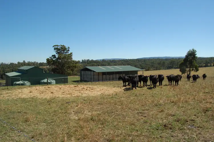 Fourth view of Homely rural property listing, 160 Coombs Road, Kinglake West VIC 3757