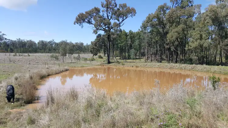 Main view of Homely rural property listing, 314 Yammacoona Estate Road, Inverell NSW 2360