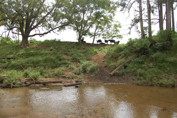 Second view of Homely rural property listing, 544 Duck Creek Rd, Old Bonalbo NSW 2469