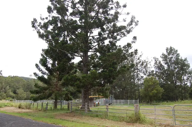 Fifth view of Homely rural property listing, 544 Duck Creek Rd, Old Bonalbo NSW 2469