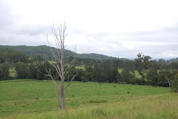 Seventh view of Homely rural property listing, 544 Duck Creek Rd, Old Bonalbo NSW 2469