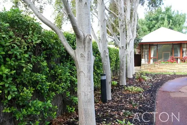 Main view of Homely house listing, 24 Irvine Street, Peppermint Grove WA 6011