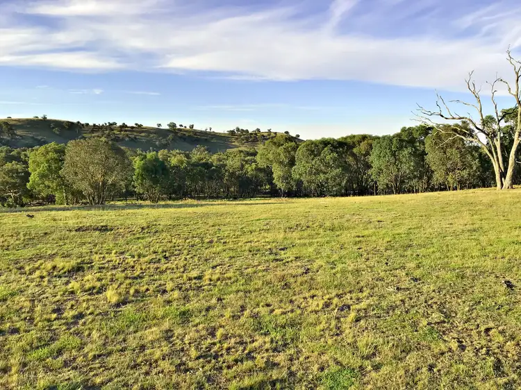 Third view of Homely rural property listing, 170 Mantons road, Gundagai NSW 2722