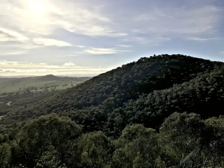 Sixth view of Homely rural property listing, 170 Mantons road, Gundagai NSW 2722