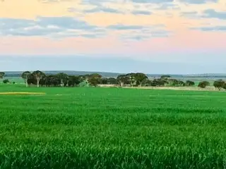 Main view of Homely rural property listing, 'Kia Ora' Bruce Rock-Quairading Road, Quairading WA 6383