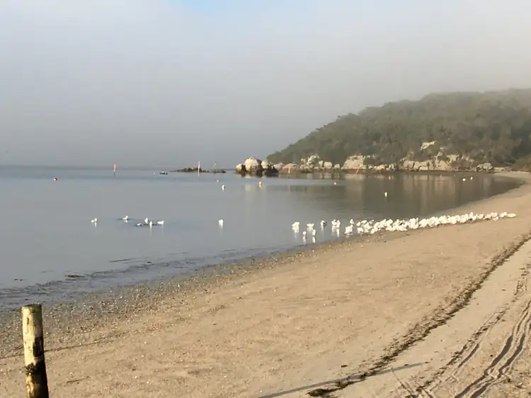 Third view of Homely rural property listing, 40 Dalgleish Road, Yanakie VIC 3960