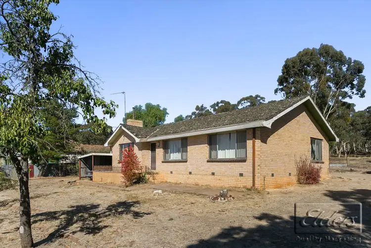 Main view of Homely house listing, 72 Wilson Street, Wedderburn VIC 3518