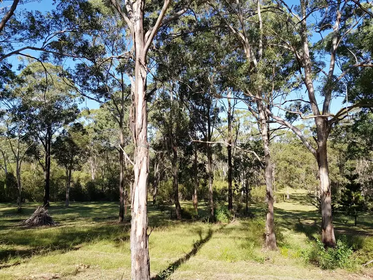 Sixth view of Homely land listing, 126 Jackson Road, Black Snake QLD 4600