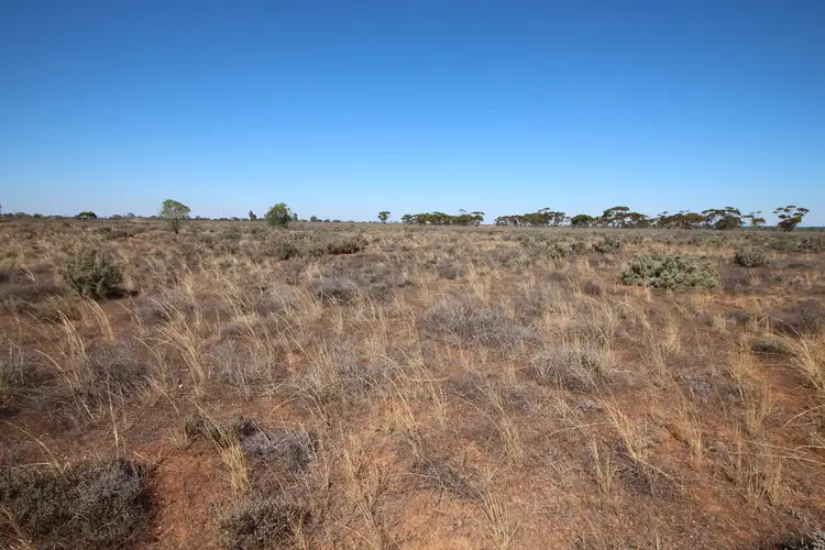 Fifth view of Homely land listing, Lot 57 Wentworth  Road, Renmark SA 5341