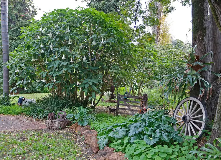 Seventh view of Homely house listing, 30 Betti Road, Kalamunda WA 6076
