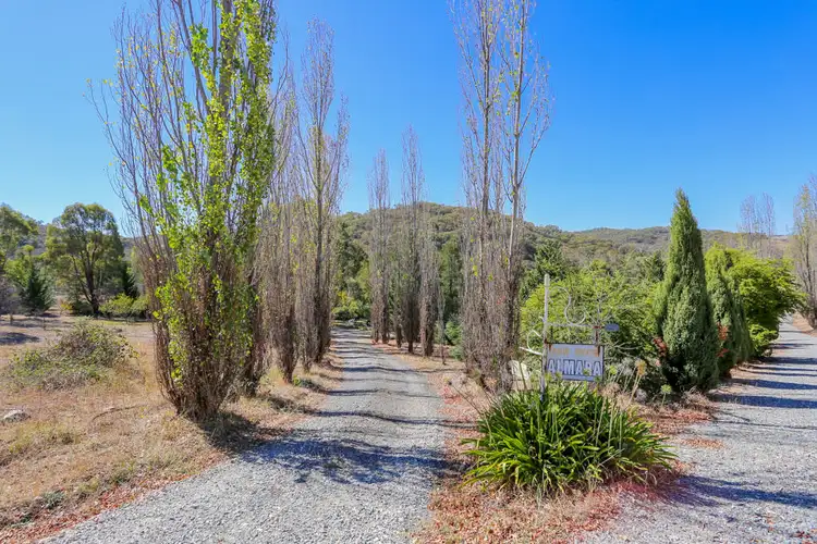Fifth view of Homely rural property listing, 1018 Freemantle Road, Billywillinga NSW 2795