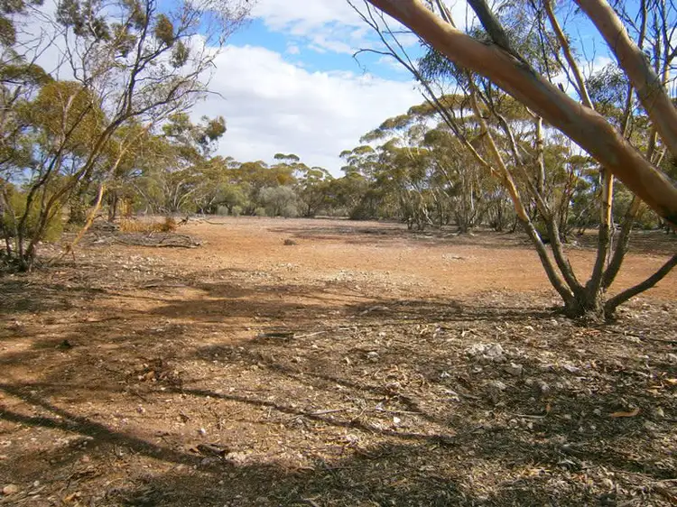 Lot 132 Old Coach Road, Blanchetown SA 5357