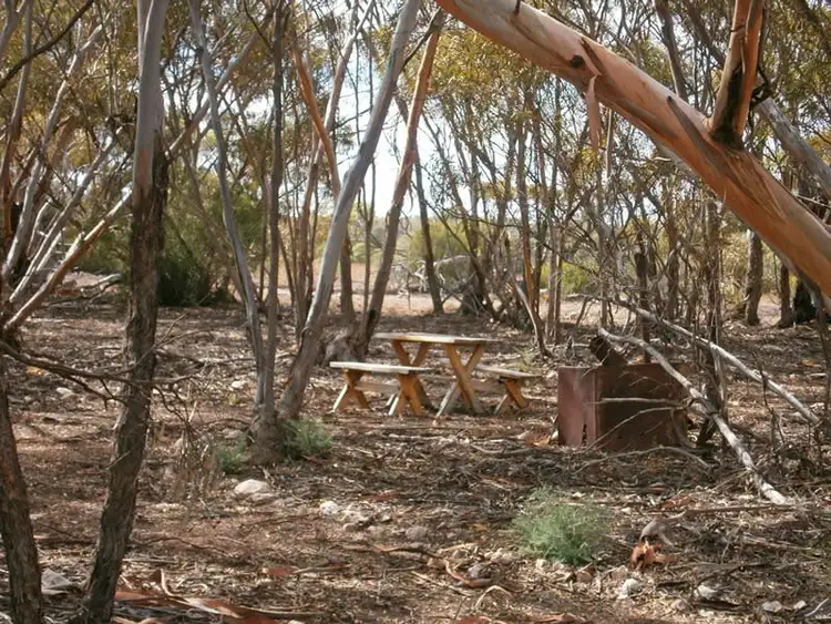 Seventh view of Homely rural property listing, Lot 132 Old Coach Road, Blanchetown SA 5357