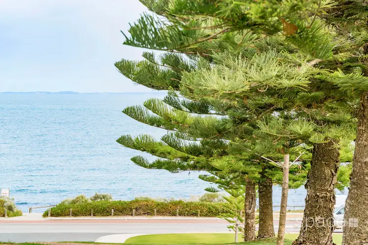 3/8 Salvado Street, Cottesloe WA 6011