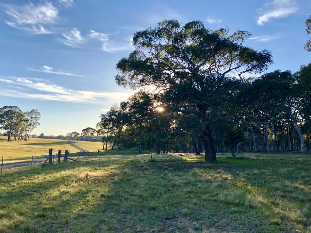 Main view of Homely rural property listing, 109 Eucalypt Ln, High Range NSW 2575