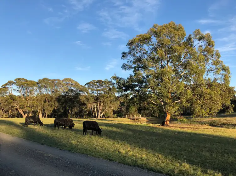 Second view of Homely rural property listing, 109 Eucalypt Ln, High Range NSW 2575