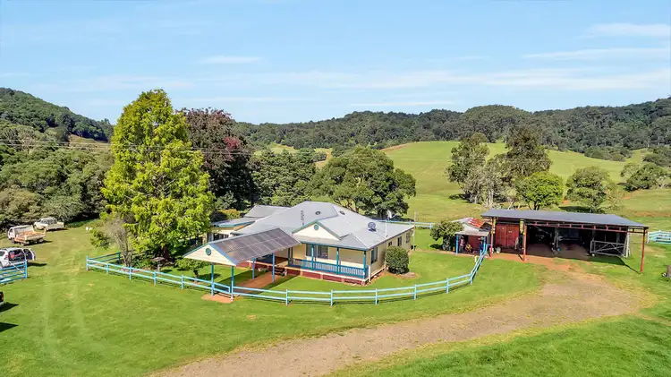 Second view of Homely rural property listing, 6101 Waterfall Way, Dorrigo NSW 2453