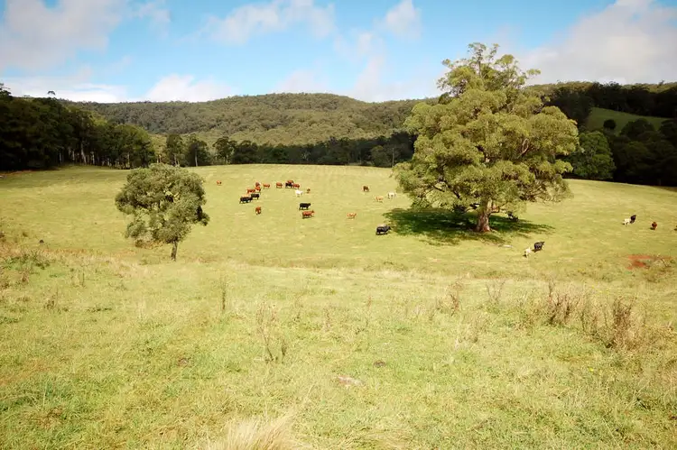 Third view of Homely rural property listing, 6101 Waterfall Way, Dorrigo NSW 2453