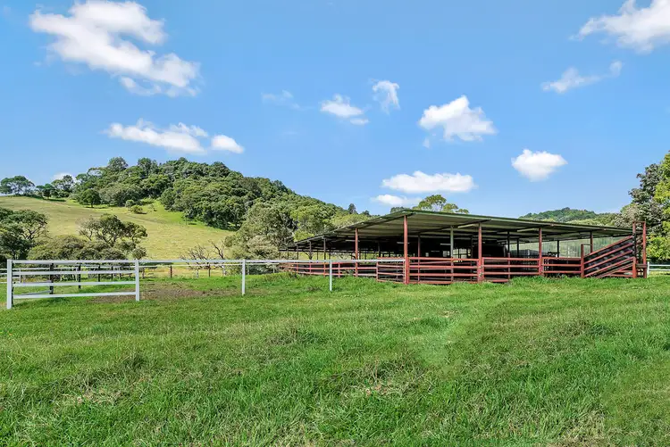 Fifth view of Homely rural property listing, 6101 Waterfall Way, Dorrigo NSW 2453