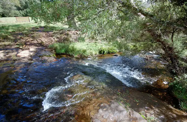 Sixth view of Homely rural property listing, 6101 Waterfall Way, Dorrigo NSW 2453