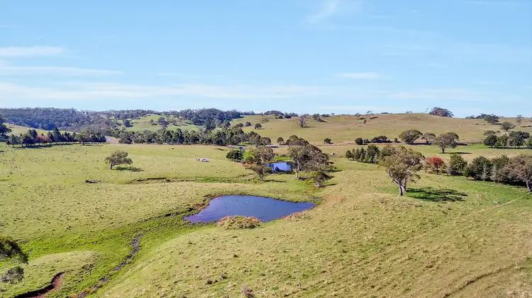 Fourth view of Homely rural property listing, 6897 Waterfall Way, Dorrigo NSW 2453