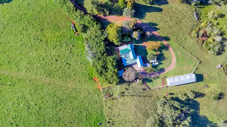 Sixth view of Homely rural property listing, 6897 Waterfall Way, Dorrigo NSW 2453