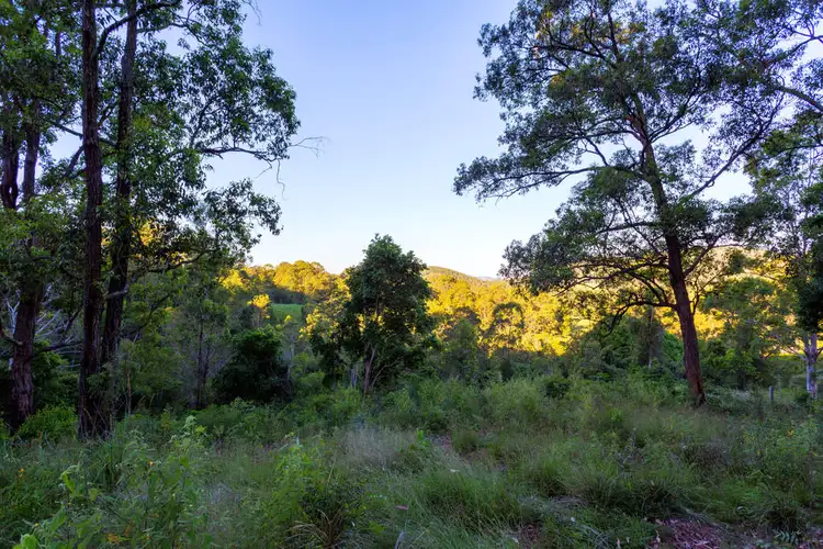 Third view of Homely rural property listing, Lot 150 & 151 Black Flat Lane, Wherrol Flat NSW 2429