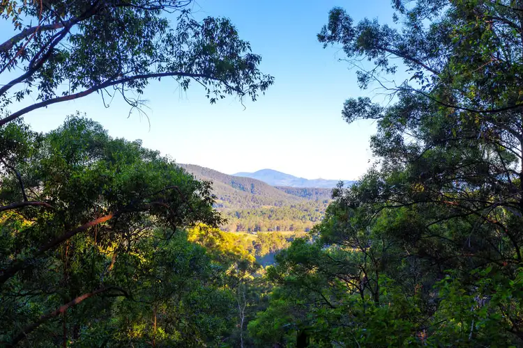 Fourth view of Homely rural property listing, Lot 150 & 151 Black Flat Lane, Wherrol Flat NSW 2429