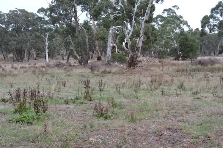 Fourth view of Homely land listing, 246 Skipton Road, Beaufort VIC 3373