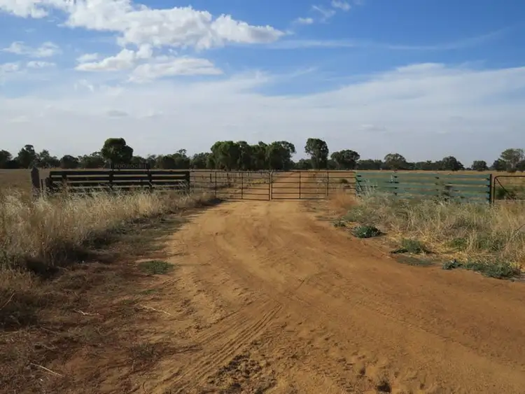 Sixth view of Homely rural property listing, "Booroobil" Evandale Road, Bunnaloo NSW 2731