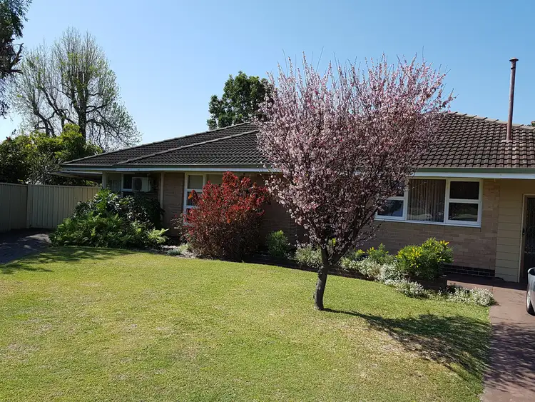 20 Greenacre Street