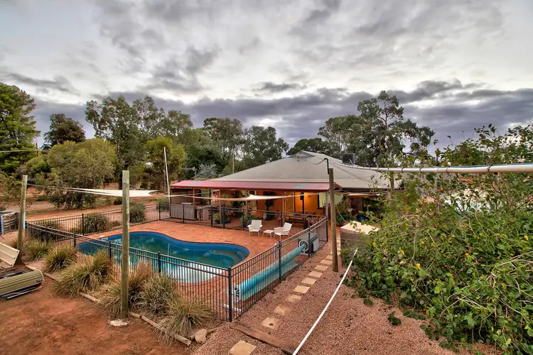 76 Chowilla Street, Renmark SA 5341