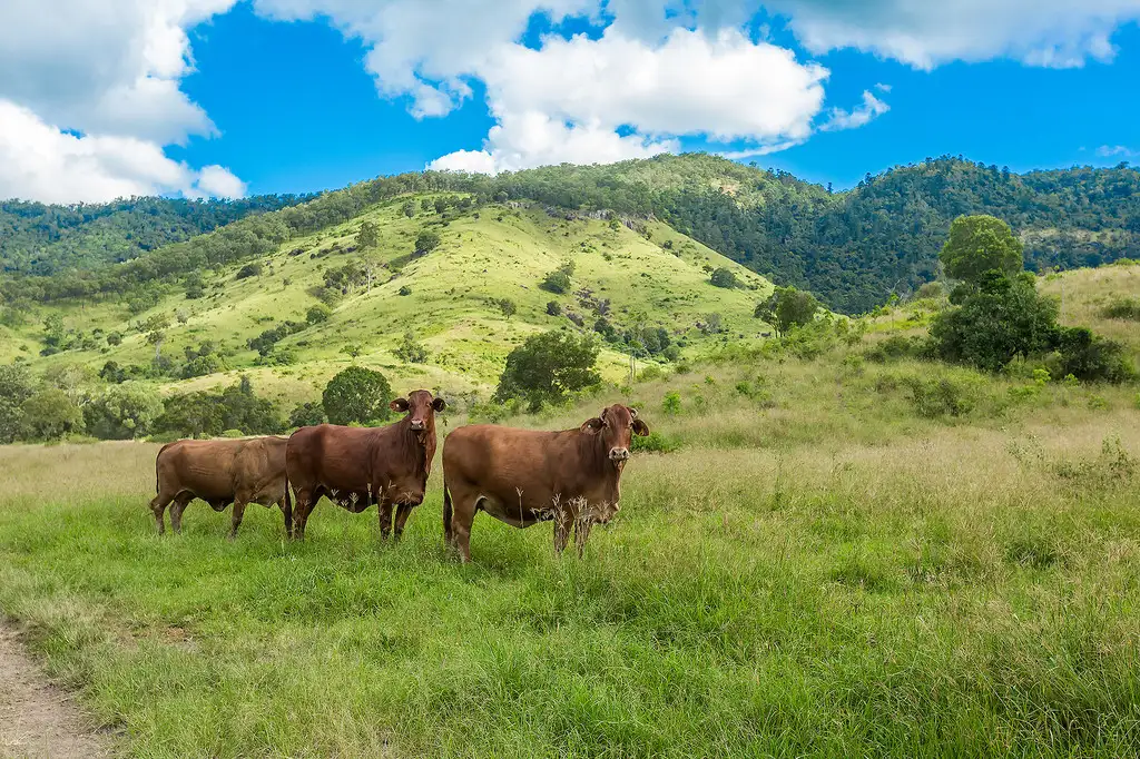 Main view of Homely land listing, L66 & L32 Upper Widgee Road, Widgee QLD 4570