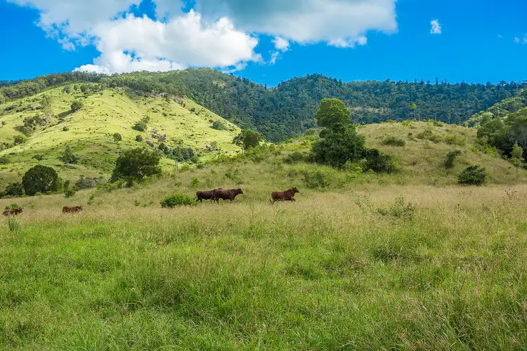 Fourth view of Homely land listing, L66 & L32 Upper Widgee Road, Widgee QLD 4570
