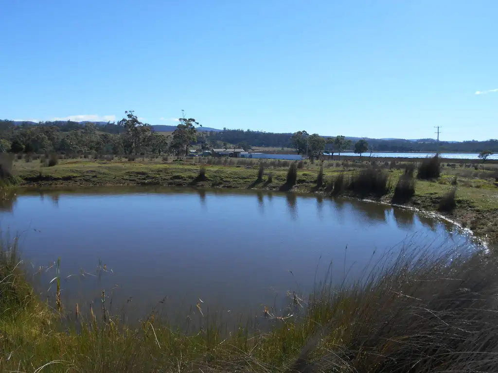 Main view of Homely house listing, 10324 Tasman Highway, Little Swanport TAS 7190