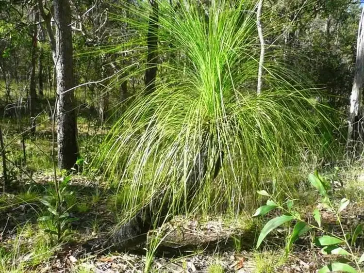 Fifth view of Homely land listing, Address available on request