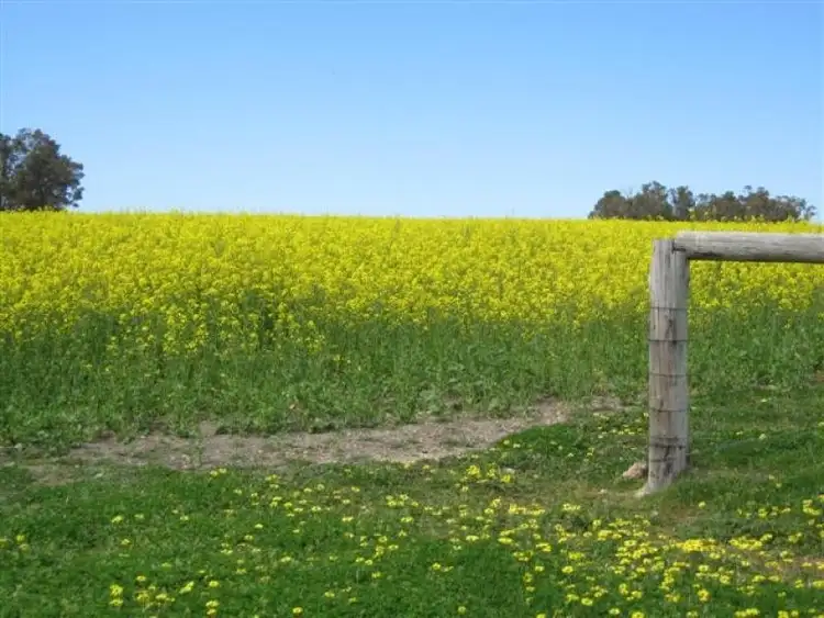 Fourth view of Homely rural property listing, 7691 Muirs Highway, Rocky Gully WA 6397
