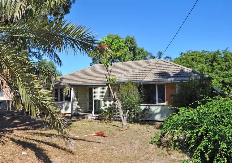 3 Houtman Street, Wonthella WA 6530