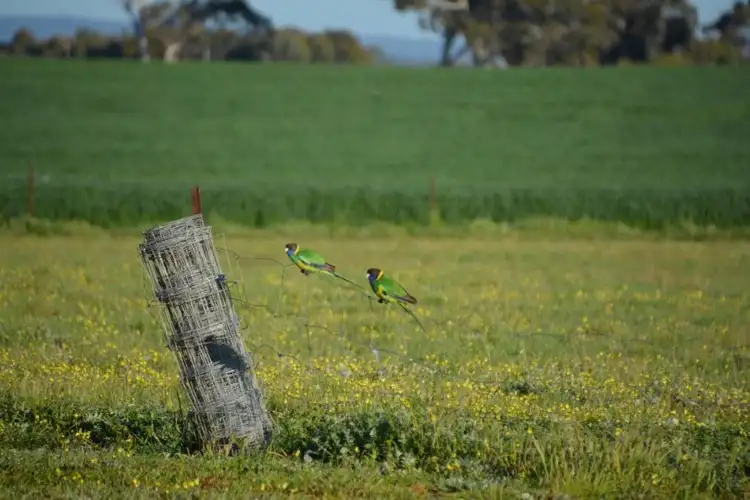 Lot 800 Corberding Road, Brookton WA 6306