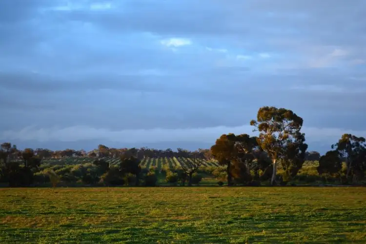 Seventh view of Homely rural property listing, Lot 800 Corberding Road, Brookton WA 6306