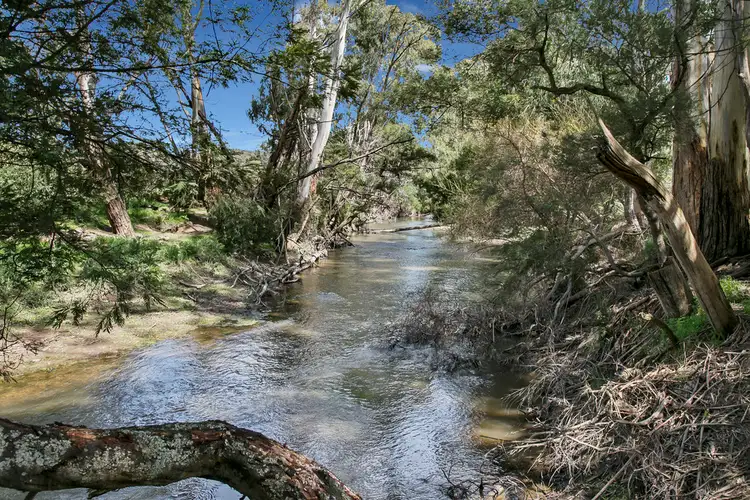 Third view of Homely rural property listing, 4836 Melba Highway, Murrindindi VIC 3717