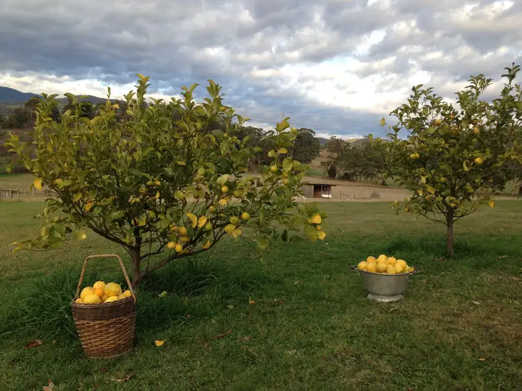 Sixth view of Homely rural property listing, 1074 Pipers River Road, Karoola TAS 7267