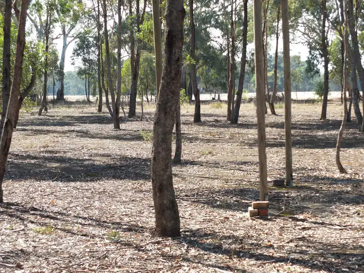 Seventh view of Homely rural property listing, 72 Breadys Lane, Amphitheatre VIC 3468