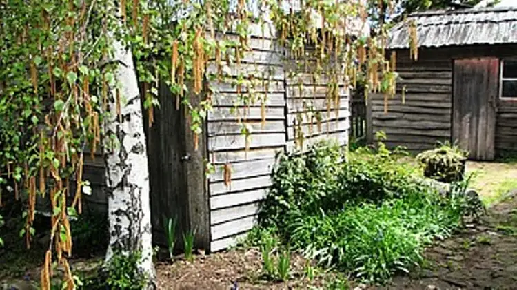 Fifth view of Homely house listing, 18 Elizabeth Street, Bothwell TAS 7030
