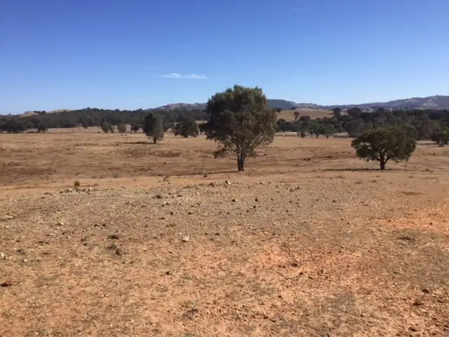 Fourth view of Homely rural property listing, 95 Morris Lane, Moonambel VIC 3478