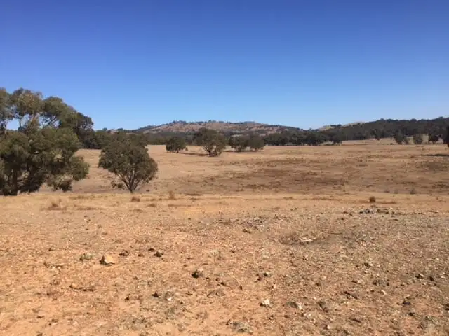 Fifth view of Homely rural property listing, 95 Morris Lane, Moonambel VIC 3478